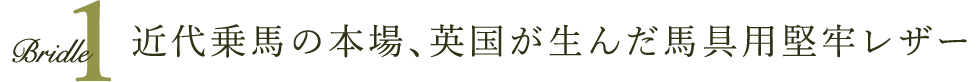 近代乗馬の本場、英国が生んだ馬具用堅牢レザー