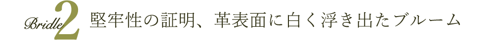 堅牢性の証明、革表面に白く浮き出たブルーム