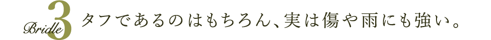 タフであるのはもちろん、実は傷や雨にも強い。