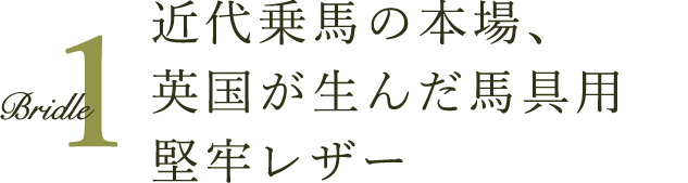 近代乗馬の本場、英国が生んだ馬具用堅牢レザー