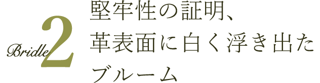 堅牢性の証明、革表面に白く浮き出たブルーム