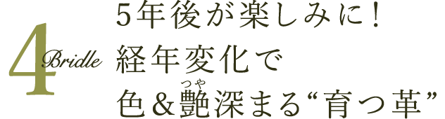 5年後が楽しみに！　経年変化で色＆艶深まる“育つ革”