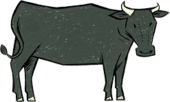 cow
