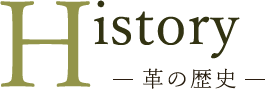 History-革の歴史-