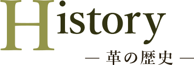 History-革の歴史-