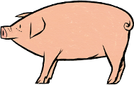 pig