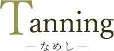 Tanning-なめし-